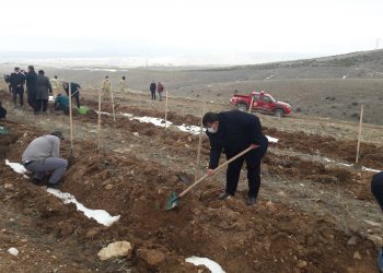 AHİ EVRAN KARDEŞLİK ORMANINA FİDANLAR DİKİLDİ