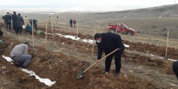 AHİ EVRAN KARDEŞLİK ORMANINA FİDANLAR DİKİLDİ