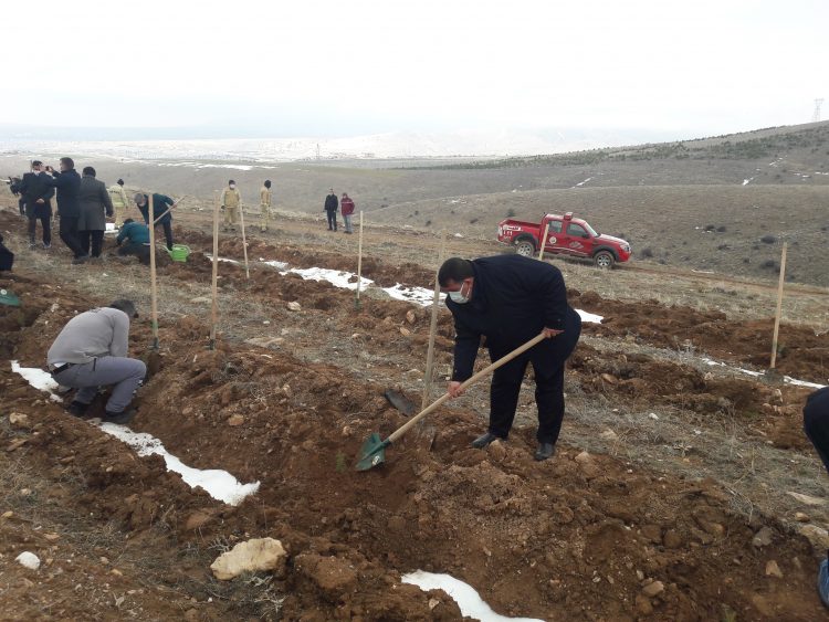 AHİ EVRAN KARDEŞLİK ORMANINA FİDANLAR DİKİLDİ