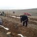 AHİ EVRAN KARDEŞLİK ORMANINA FİDANLAR DİKİLDİ