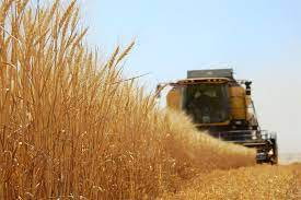 2021 YILI HASAT İHALESİ BAŞLADI