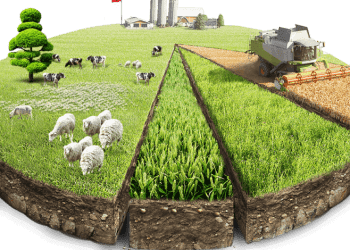 KIRSAL KALKINMA DESTEKLERİ KAPSAMINDA BİREYSEL SULAMA SİSTEMLERİNİN DESTEKLENMESİ