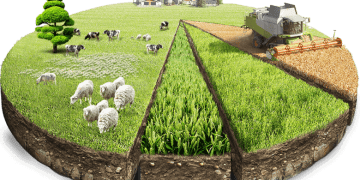 KIRSAL KALKINMA DESTEKLERİ KAPSAMINDA BİREYSEL SULAMA SİSTEMLERİNİN DESTEKLENMESİ