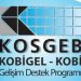 KOBİGEL-KOBİ Gelişim Destek  Programı Bilgilendirme Semineri (Webinar – İnternet Üzerinden)