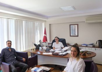 Ülke Raporu Hazırlama Eğitimi