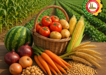 Kırşehir TSO’nun UR-GE Projesi Onaylandı: Tarım Sektörü İhracata Yöneliyor