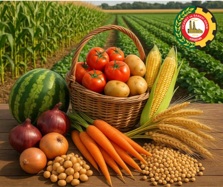 Kırşehir TSO’nun UR-GE Projesi Onaylandı: Tarım Sektörü İhracata Yöneliyor